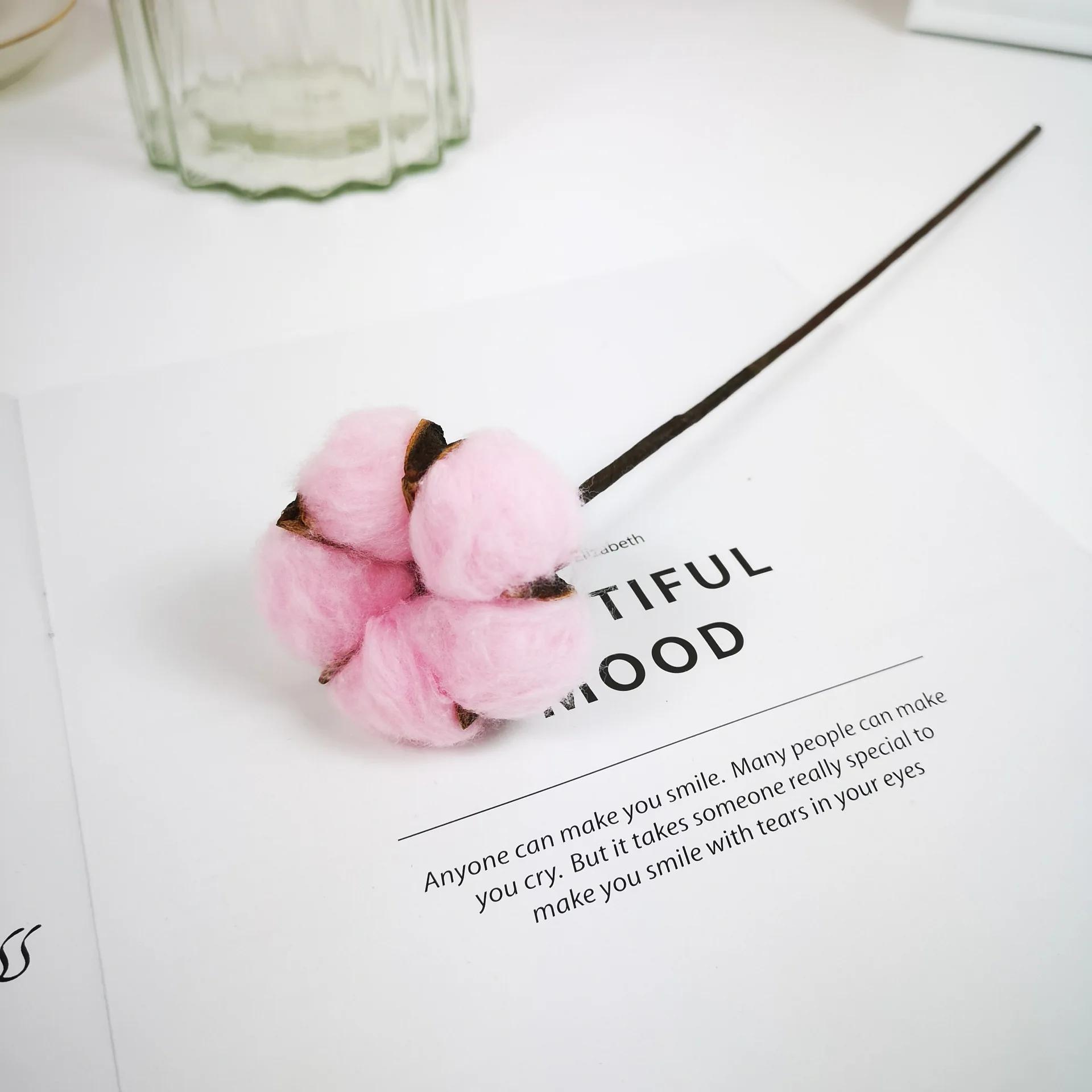 Natural Dried Cotton Flower with Steel DIY Crafts Decorative Pressed Dried Flowers for Home Party Wedding lightpink
Natural Dried Cotton Flower with Steel DIY Crafts Decorative Pressed Dried Flowers for Home Party Wedding lightpink