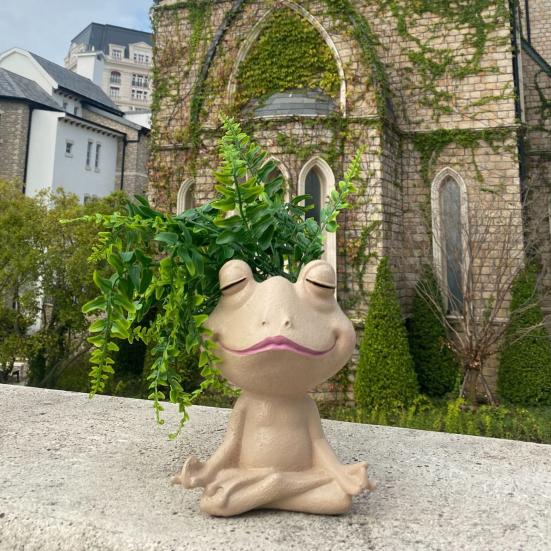 Горшок для цветов в виде лягушки для йоги с дренажным отверстием, смола, фигурка сидящей лягушки, цветочный горшок, домашний контейнер для уличных растений, украшение для дома, балкона и сада хаки
Горшок для цветов в виде лягушки для йоги с дренажным отверстием, смола, фигурка сидящей лягушки, цветочный горшок, домашний контейнер для уличных растений, украшение для дома, балкона и сада хаки