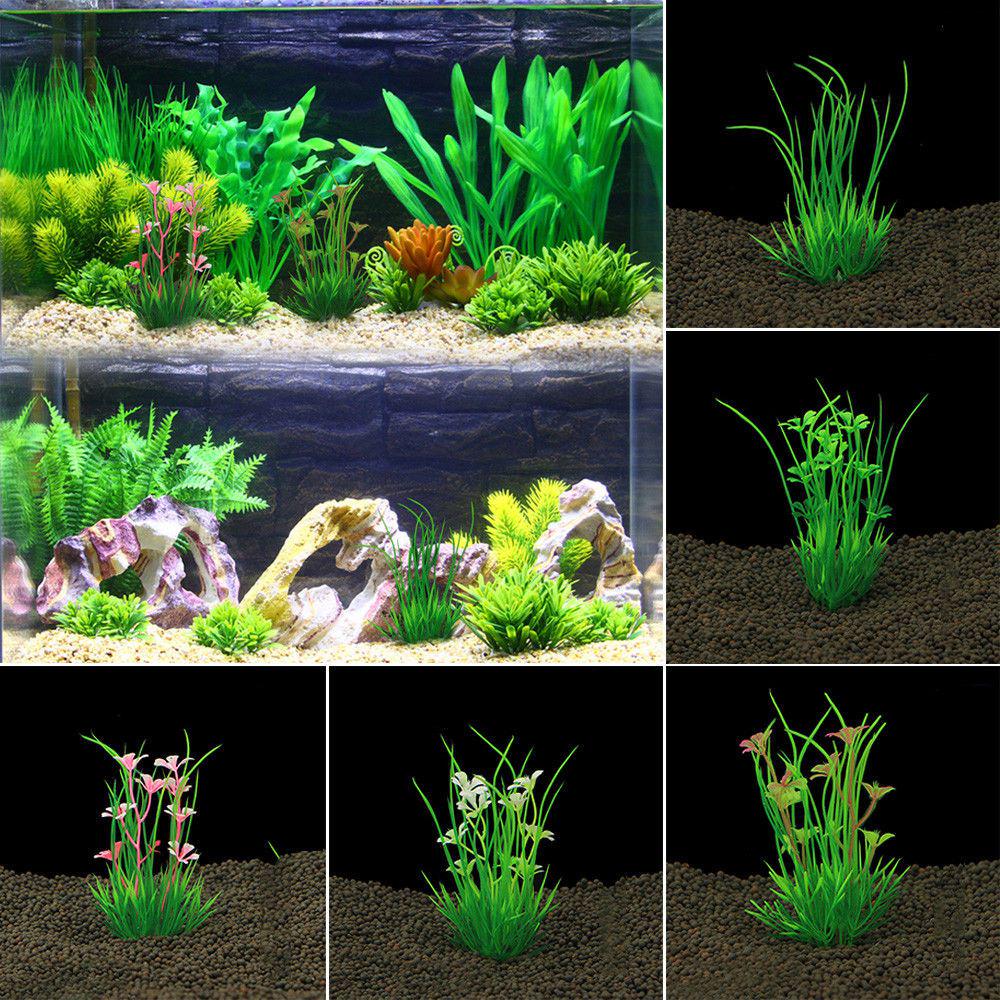 Ornament Green Aquatic Fish Tank Landscape Decor Plastic Water Grass Artificial Plant 5
Ornament Green Aquatic Fish Tank Landscape Decor Plastic Water Grass Artificial Plant 5