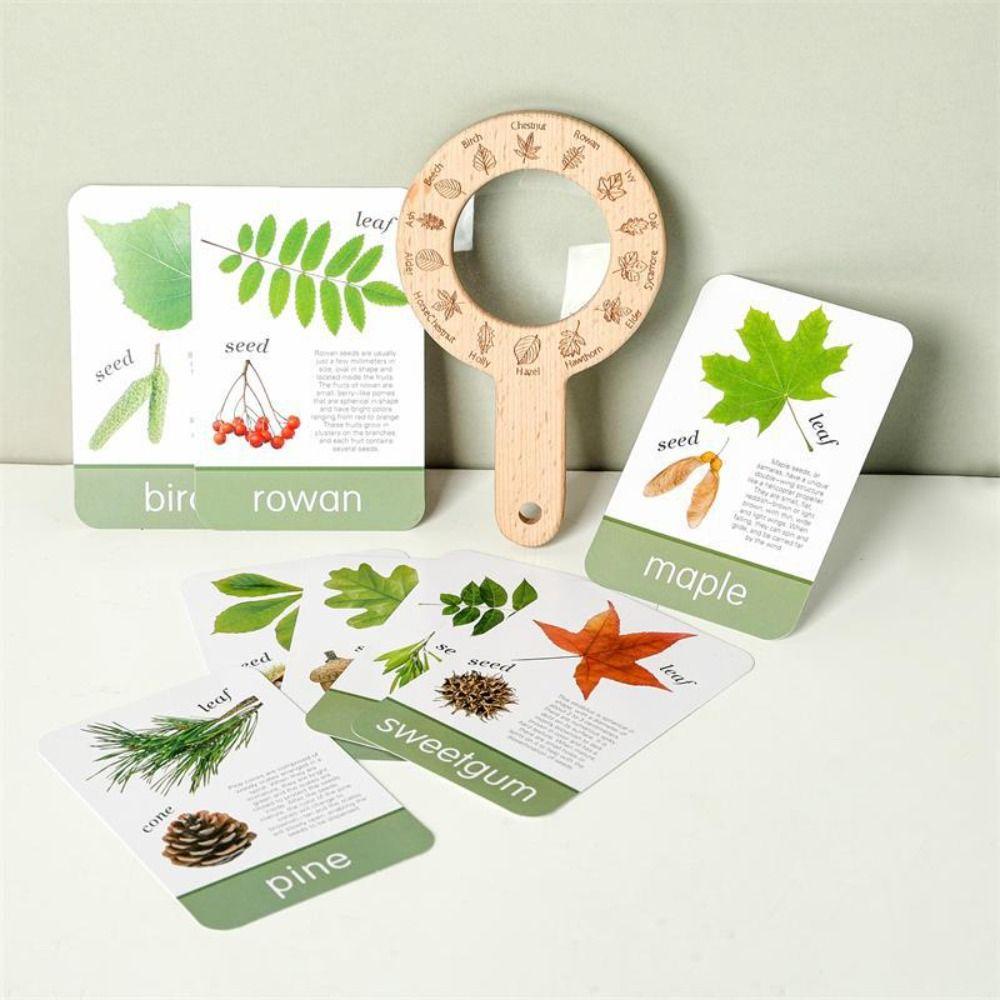 Educational Toys Children s Outdoor Explorer Tool Wooden Plant Cognition Cards Birthday Gifts 1set
Educational Toys Children s Outdoor Explorer Tool Wooden Plant Cognition Cards Birthday Gifts 1set