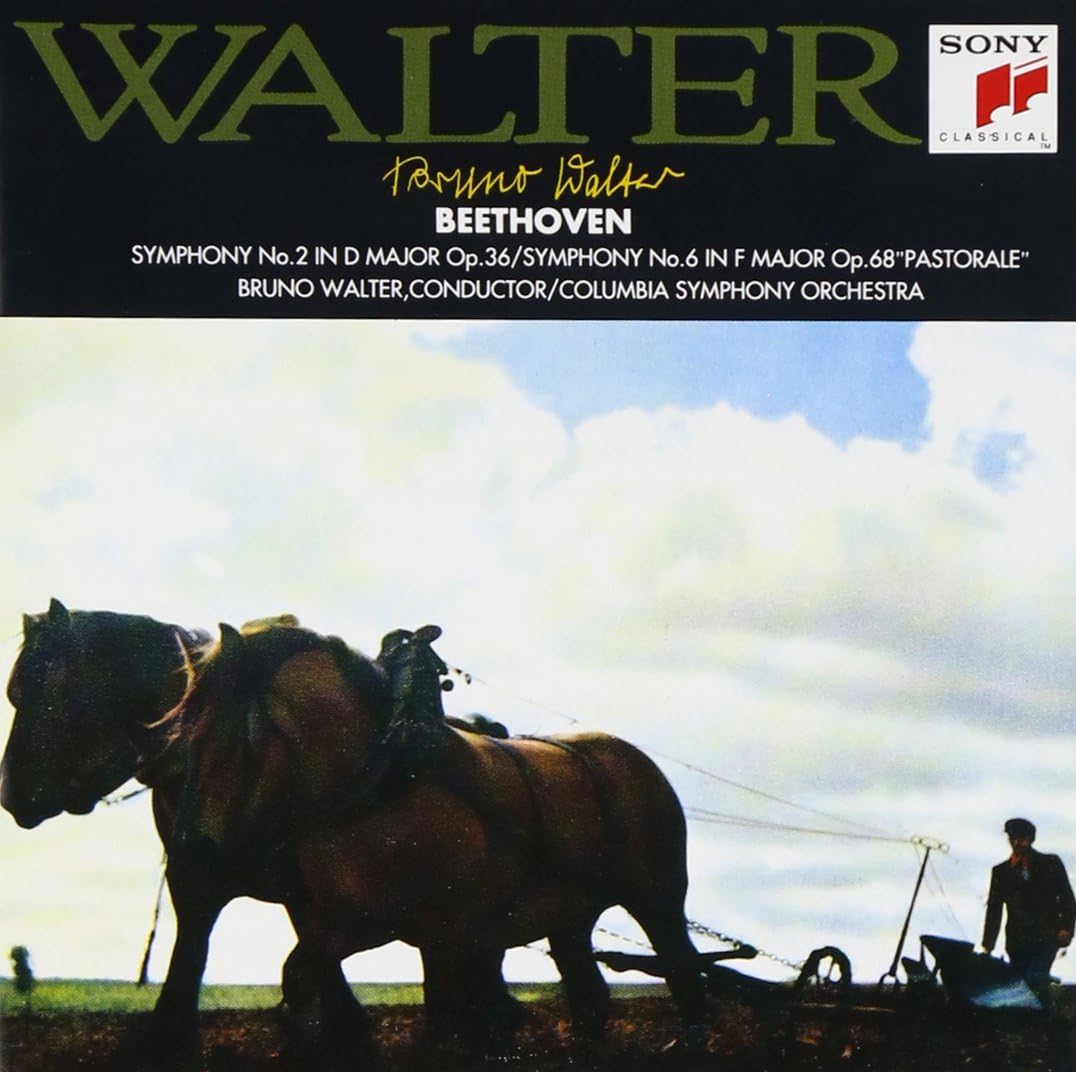 CD BEETHOVEN, WALTER (BRUNO); COLUMBIA - Beethoven: Symphony Nos. 2 and 6 Ru SRCR9966PROMO Japan Classical Used
CD BEETHOVEN, WALTER (BRUNO); COLUMBIA - Beethoven: Symphony Nos. 2 and 6 Ru SRCR9966PROMO Japan Classical Used