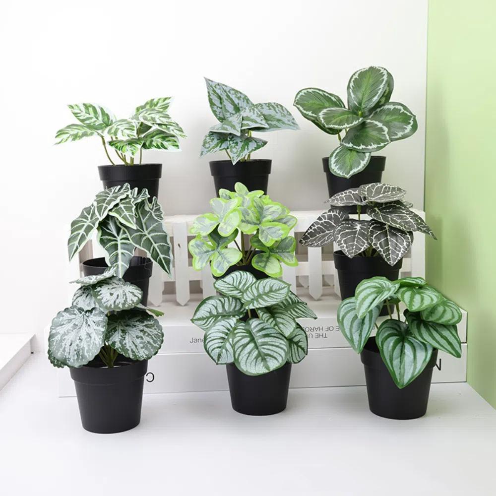 1Pc Simulation Plants Artificial Green Leaves Desktop Potted Small Tree Pot Decor Green Bonsai Home 1
1Pc Simulation Plants Artificial Green Leaves Desktop Potted Small Tree Pot Decor Green Bonsai Home 1