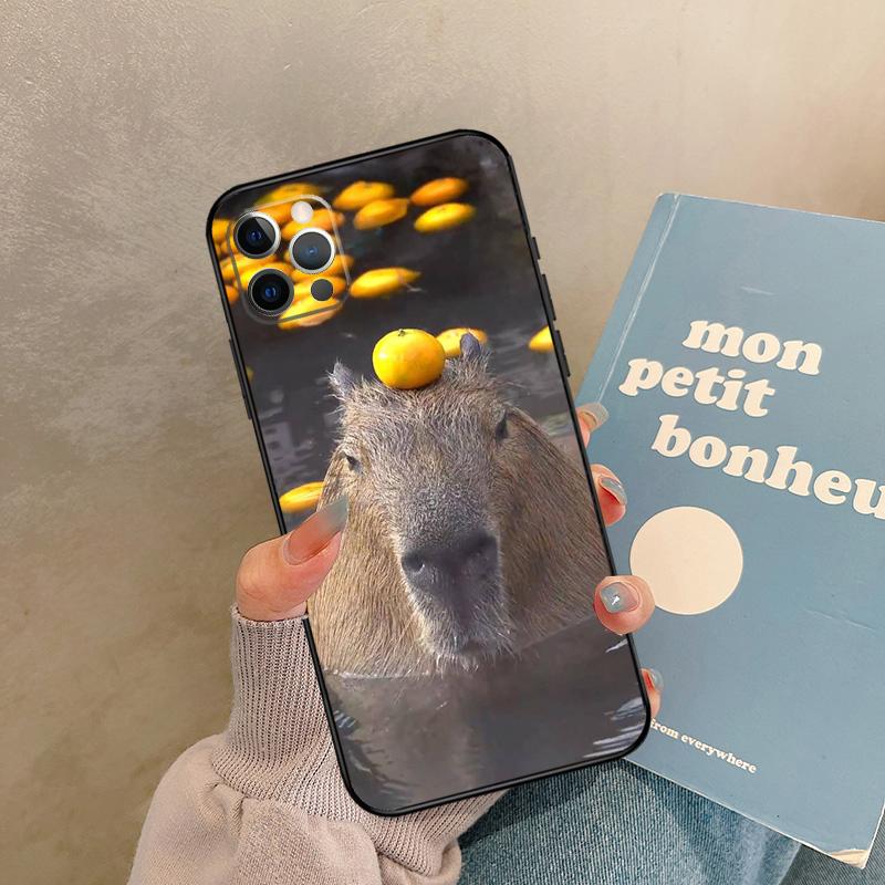 Animal Funny Capybara Case For iPhone 17 Air 13 16 15 11 12 14 Pro Max 13 mini XR 15 16 Plus 16e Back Cover Shell iPhone 13Pro MAX
Animal Funny Capybara Case For iPhone 17 Air 13 16 15 11 12 14 Pro Max 13 mini XR 15 16 Plus 16e Back Cover Shell iPhone 13Pro MAX