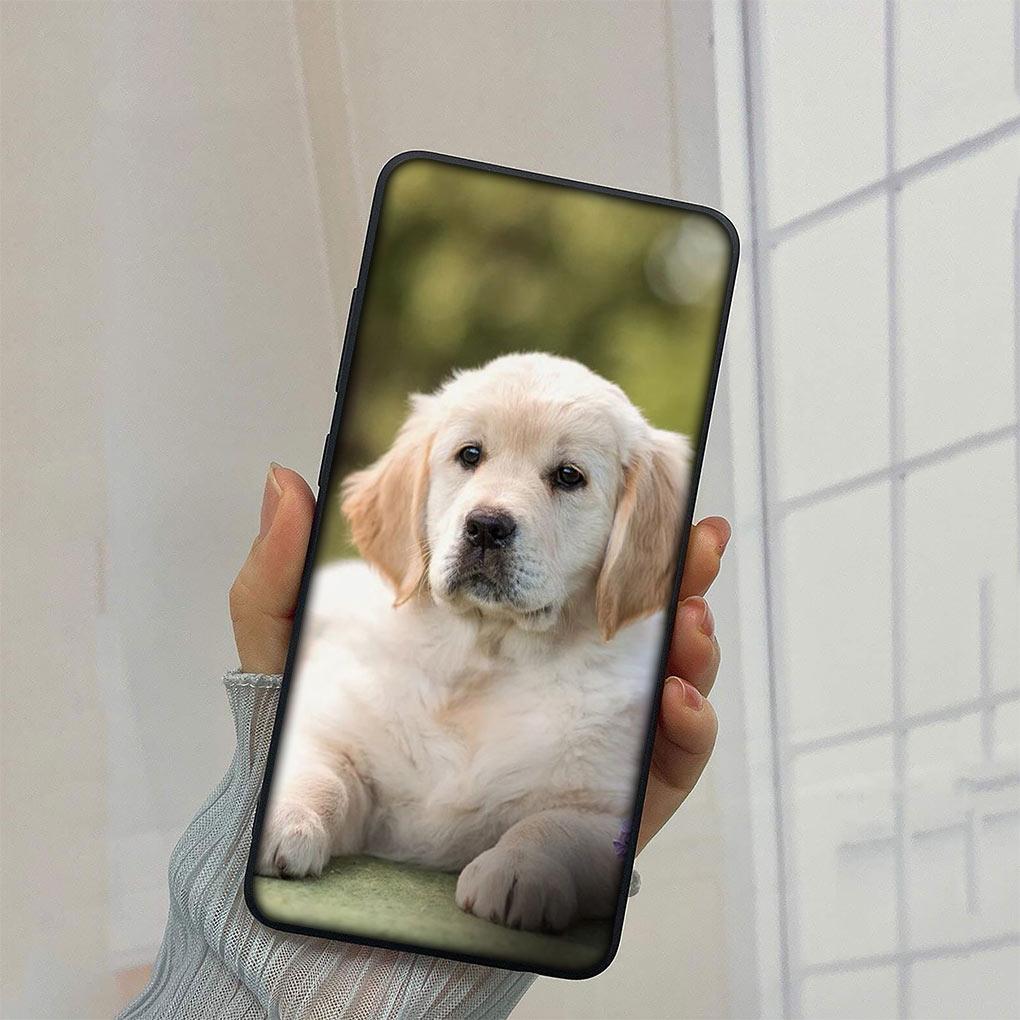 Golden Retriever Dog Cover Phone Case for Xiaomi Redmi Note 9 8 11 Pro 4G 5G 9S 11S 9A 9C NFC 9T 8A Funda Soft Casing Redmi 8
Golden Retriever Dog Cover Phone Case for Xiaomi Redmi Note 9 8 11 Pro 4G 5G 9S 11S 9A 9C NFC 9T 8A Funda Soft Casing Redmi 8