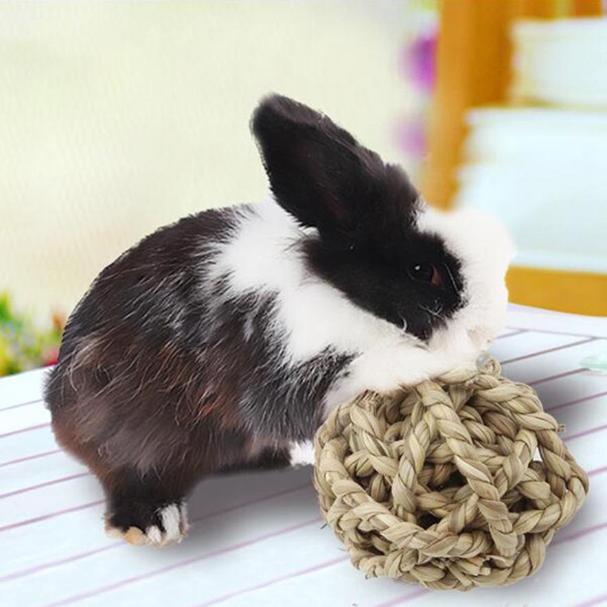 Хомяк Чу Игрушка Соломенный Шар Кролик Малый Pet Игрушка грызунов Зубы чистка мяч очиститель
Хомяк Чу Игрушка Соломенный Шар Кролик Малый Pet Игрушка грызунов Зубы чистка мяч очиститель