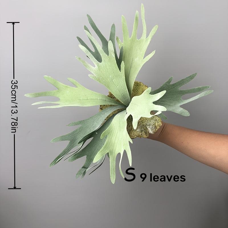 1 шт. искусственные растения реквизит для фотосъемки имитация рогов оленя и молочая домашний и офисный декор суккулентные растения подвесные стены S
1 шт. искусственные растения реквизит для фотосъемки имитация рогов оленя и молочая домашний и офисный декор суккулентные растения подвесные стены S