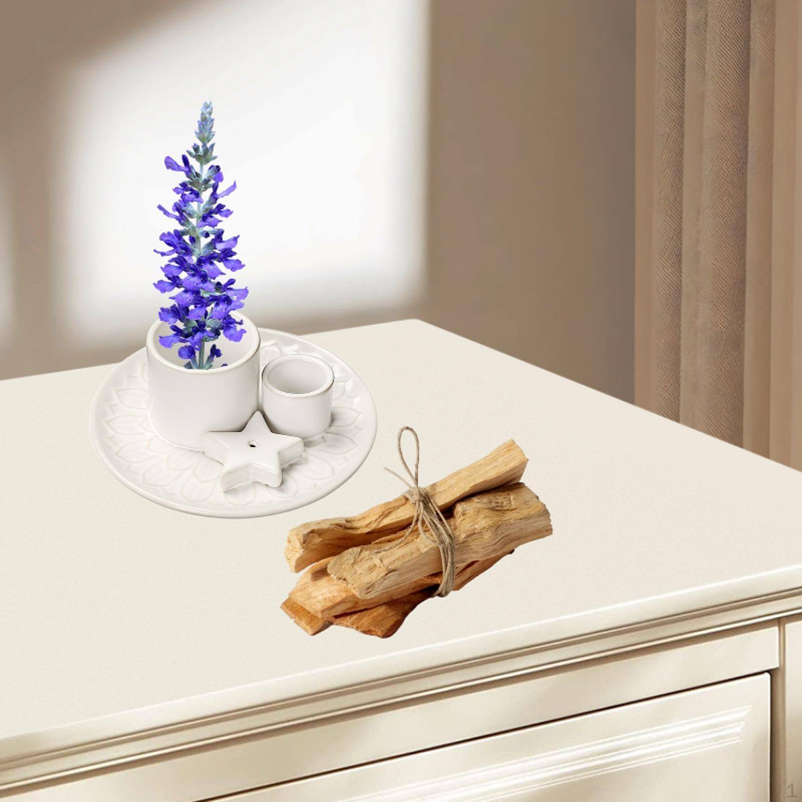 Керамическая подставка для благовоний и пало санто, идеально для кабинета для учебы белый
Керамическая подставка для благовоний и пало санто, идеально для кабинета для учебы белый