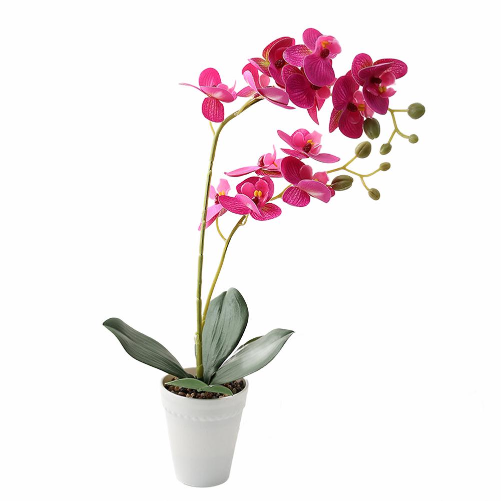 Decorative Two Stem Orchid Arrangement for Stylish For Home Weddings and Events Silk and Plastic with Flower Pot фиолетовый
Decorative Two Stem Orchid Arrangement for Stylish For Home Weddings and Events Silk and Plastic with Flower Pot фиолетовый