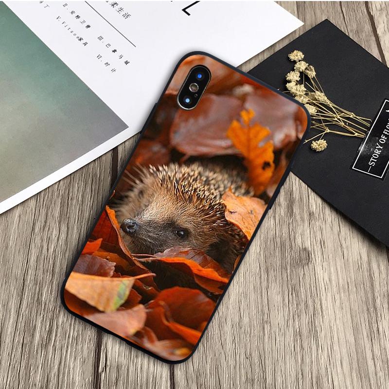 Черный силиконовый чехол для телефона «Ежик» для iPhone 12 XR XS Max 5 5S SE 2020 6 6S 7 8 PLUS X 11Pro Max11 iPhone 5 5S SE
Черный силиконовый чехол для телефона «Ежик» для iPhone 12 XR XS Max 5 5S SE 2020 6 6S 7 8 PLUS X 11Pro Max11 iPhone 5 5S SE