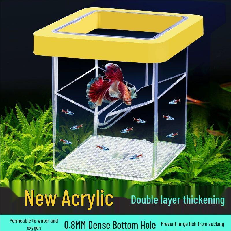 Floating Isolation Box for Fish Fry and Guppy Breeding Aquarium
Floating Isolation Box for Fish Fry and Guppy Breeding Aquarium