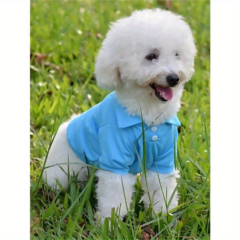 1 шт. рубашка-поло для питомца, подходит для повседневной носки M синий
1 шт. рубашка-поло для питомца, подходит для повседневной носки M синий