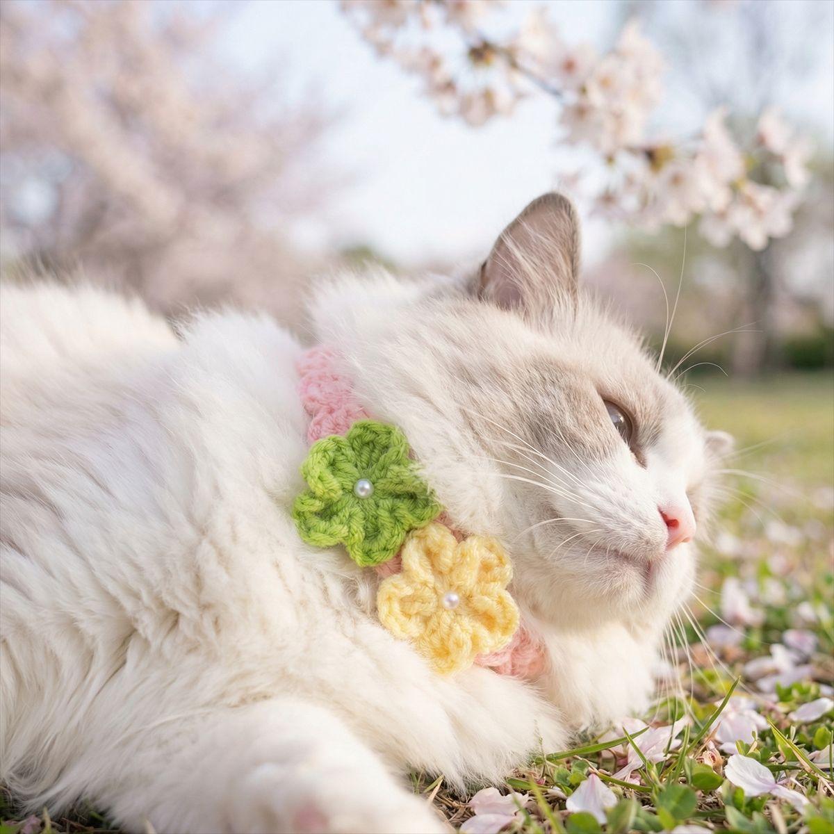 New Spring Cat Scarf - Hand-knitted Pet Collar Featuring Cute Wool Flowers, in A Princess Style. Springtime Peach
New Spring Cat Scarf - Hand-knitted Pet Collar Featuring Cute Wool Flowers, in A Princess Style. Springtime Peach