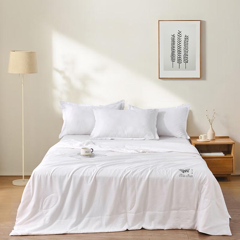 Lightweight Polyester Summer Quilt
Lightweight Polyester Summer Quilt