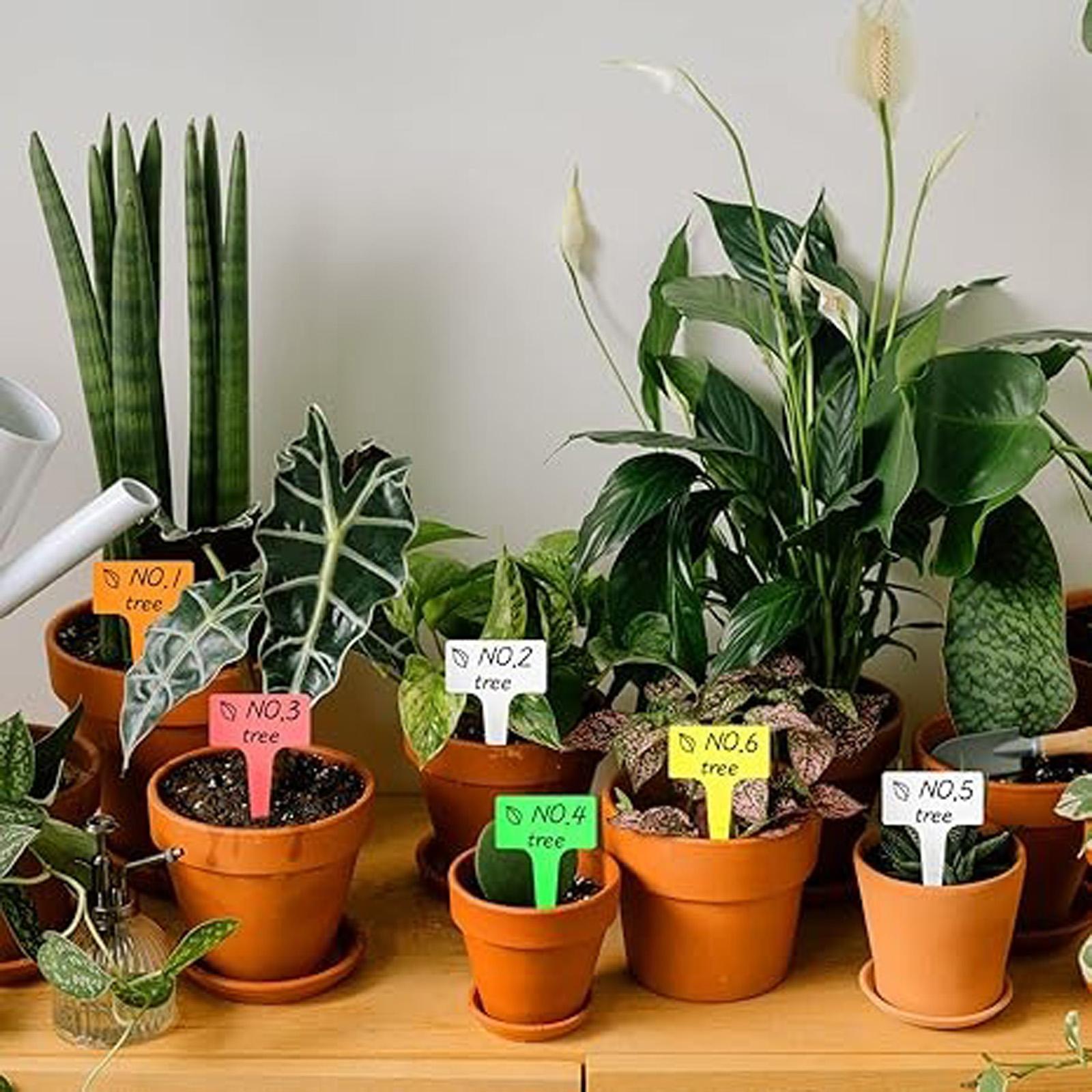 Plastic Plant Label Tags Durable Waterproof Garden Marker Signs for Seedling Pot Herb Flower Vegetable Identification one size
Plastic Plant Label Tags Durable Waterproof Garden Marker Signs for Seedling Pot Herb Flower Vegetable Identification one size