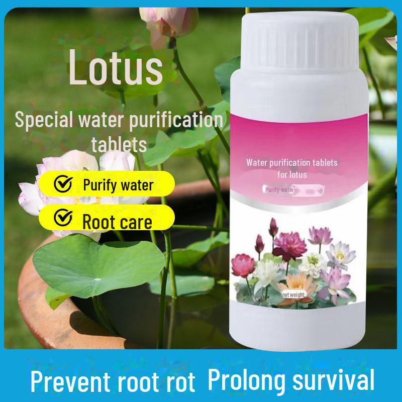 Таблетки для очистки воды Lotus — очищают воду, дезодорируют бассейны, удаляют примеси, очищают гидропонные растения Lotus water purifier tablets
Таблетки для очистки воды Lotus — очищают воду, дезодорируют бассейны, удаляют примеси, очищают гидропонные растения Lotus water purifier tablets
