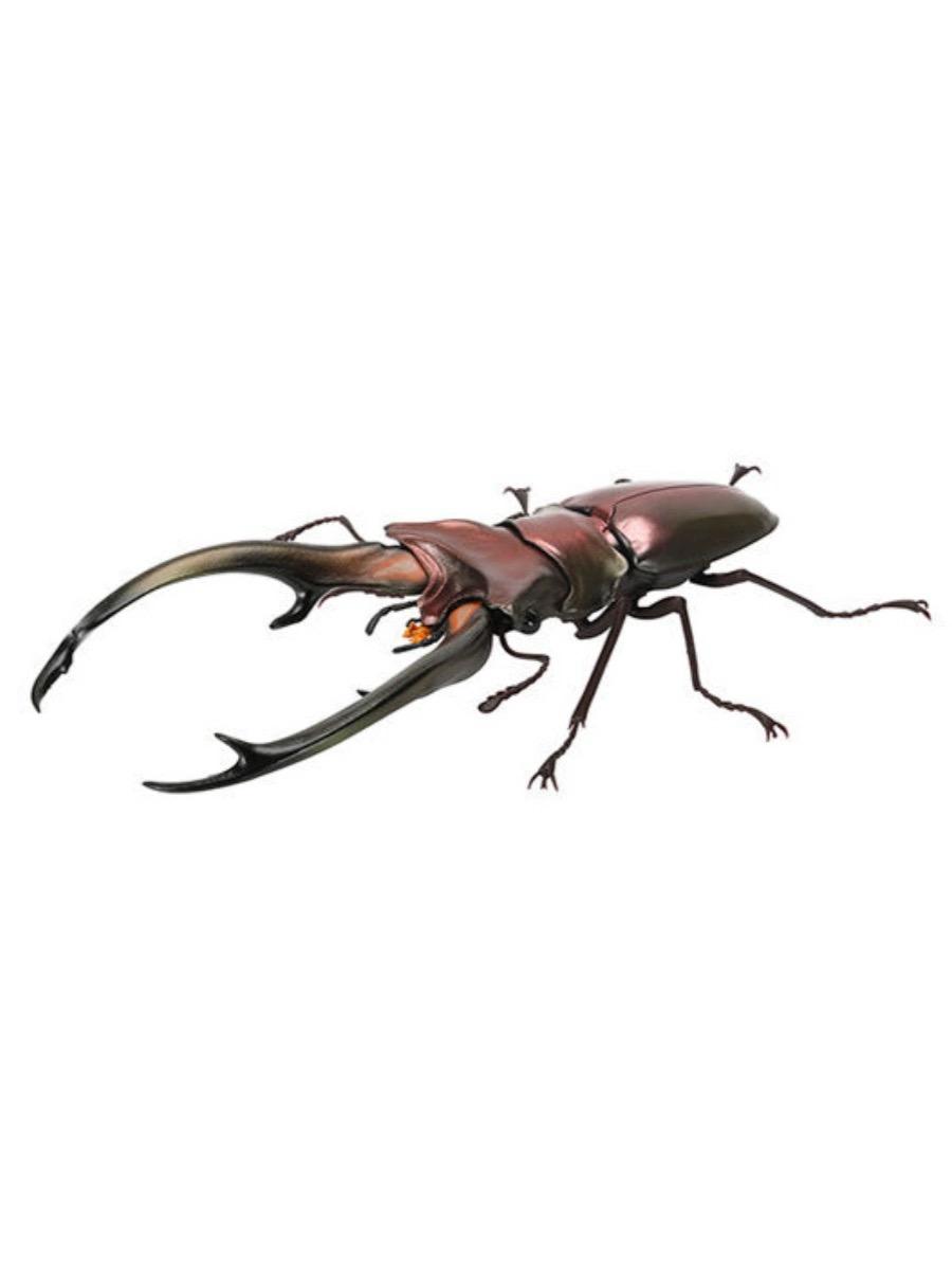 Biographical Analysis of Deer Antler Beetle and Claw Shaped Insect 07 Beetle Gacha Simulation Animal Movable Joints Figure Playthings (As shown-12926)-
Biographical Analysis of Deer Antler Beetle and Claw Shaped Insect 07 Beetle Gacha Simulation Animal Movable Joints Figure Playthings (As shown-12926)-