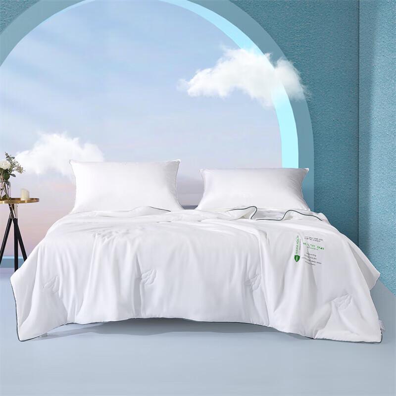 Mercury Home Textiles Antibacterial Soybean Fiber Summer Quilt
Mercury Home Textiles Antibacterial Soybean Fiber Summer Quilt