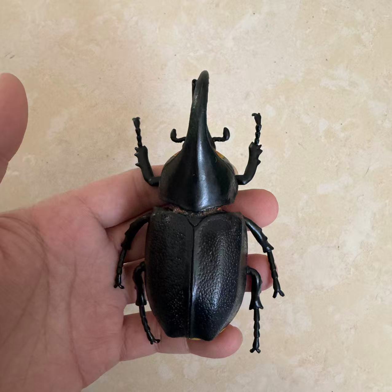 Biographical Analysis of Deer Antler Beetle plus Claw Shaped Insect Beetle Gacha Simulation Animal Movable Joints Figure Playthings
Biographical Analysis of Deer Antler Beetle plus Claw Shaped Insect Beetle Gacha Simulation Animal Movable Joints Figure Playthings