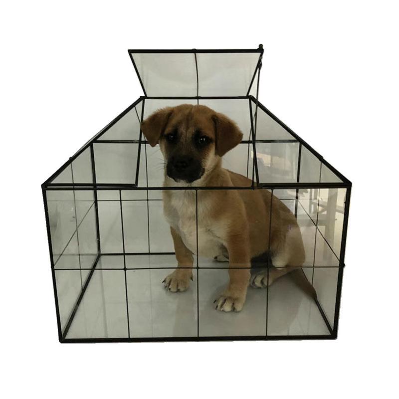 Європейська скляна теплиця-плантатор для сукулентів: Прозорий Еко-Дружній Контейнер для Мікро-Ландшафту для Домашнього Декору Small
Європейська скляна теплиця-плантатор для сукулентів: Прозорий Еко-Дружній Контейнер для Мікро-Ландшафту для Домашнього Декору Small