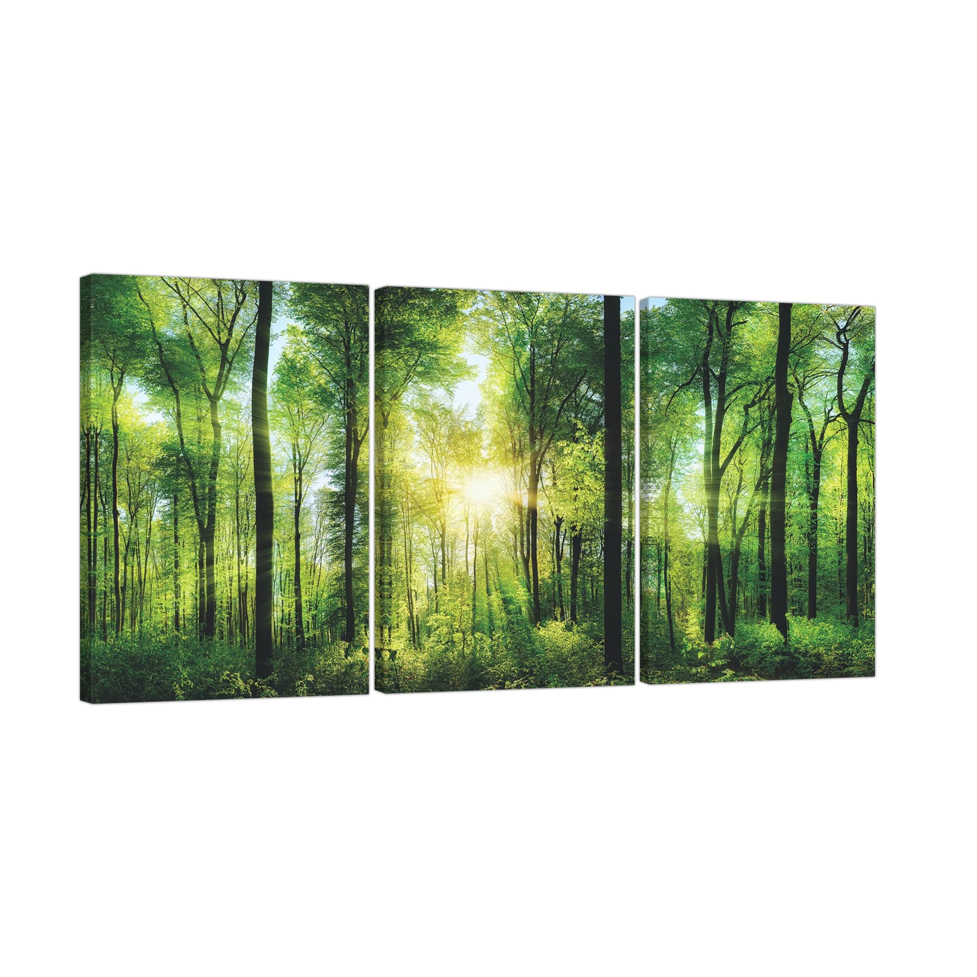 Art Forest Nature Green Feng Shui Porch Forest Greenery Home Lucky Finished Wooden Frame x 3 1 Forest 3-Panel Panel, Landscape, Painting, Mural,
Art Forest Nature Green Feng Shui Porch Forest Greenery Home Lucky Finished Wooden Frame x 3 1 Forest 3-Panel Panel, Landscape, Painting, Mural,
