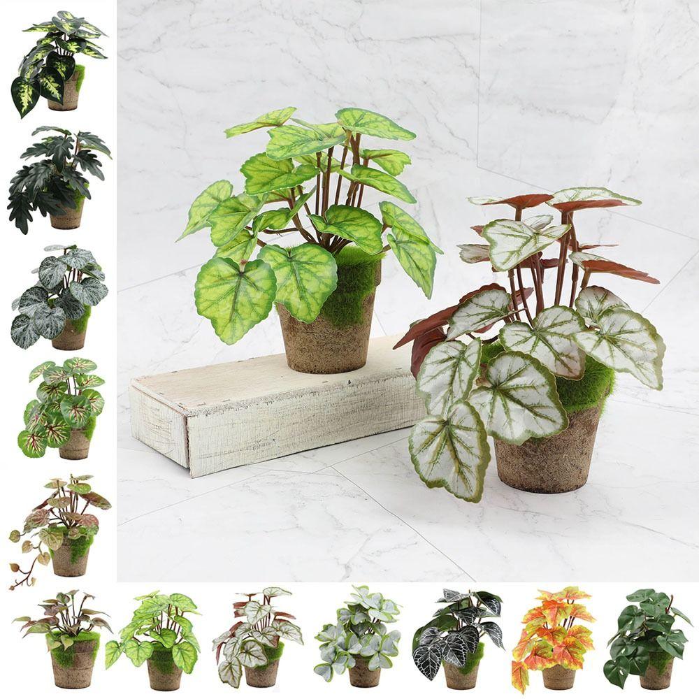 Plastic Mini Potted Plant Vivid Artificial Plants Durable Simulation Green Plants Home
Plastic Mini Potted Plant Vivid Artificial Plants Durable Simulation Green Plants Home