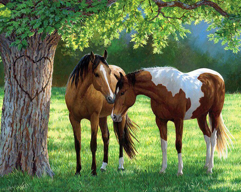 Алмазний живопис Оригінальний світ Вишивка хрестиком Рукоділля Алмазна вишивка Фантастичний пейзаж Повне свердло Квадратна алмазна мозаїка Домашній декор Full Square 20X30CM світло-синій колір
Алмазний живопис Оригінальний світ Вишивка хрестиком Рукоділля Алмазна вишивка Фантастичний пейзаж Повне свердло Квадратна алмазна мозаїка Домашній декор Full Square 20X30CM світло-синій колір