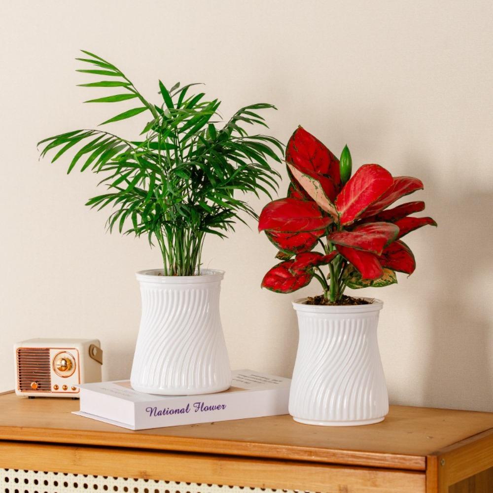 Removable Hydroponic Plants Pot Plastic Mini Succulent Planter Tabletop Vase New Flowerpot абрикосовий
Removable Hydroponic Plants Pot Plastic Mini Succulent Planter Tabletop Vase New Flowerpot абрикосовий