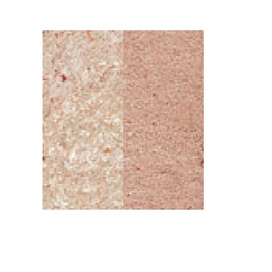 JUNG SAEM MOOL Refining Eyeshadow Double Naked Sandshine
JUNG SAEM MOOL Refining Eyeshadow Double Naked Sandshine