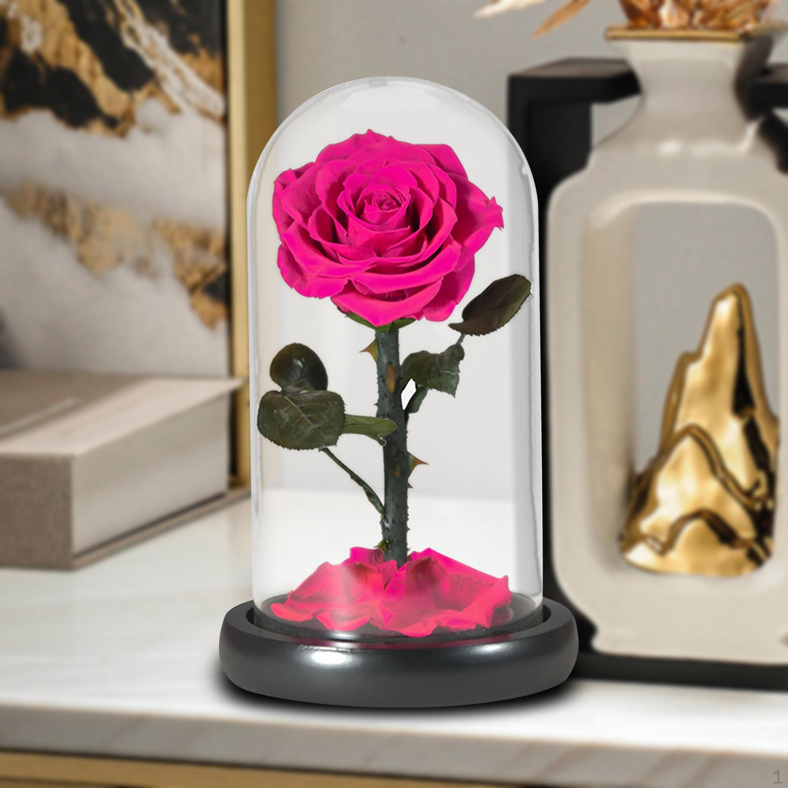 Mother s Day Gift From Daughter And Son, Table Decoration, Rose Flower, Forever, Flower for рожевий червоний колір
Mother s Day Gift From Daughter And Son, Table Decoration, Rose Flower, Forever, Flower for рожевий червоний колір