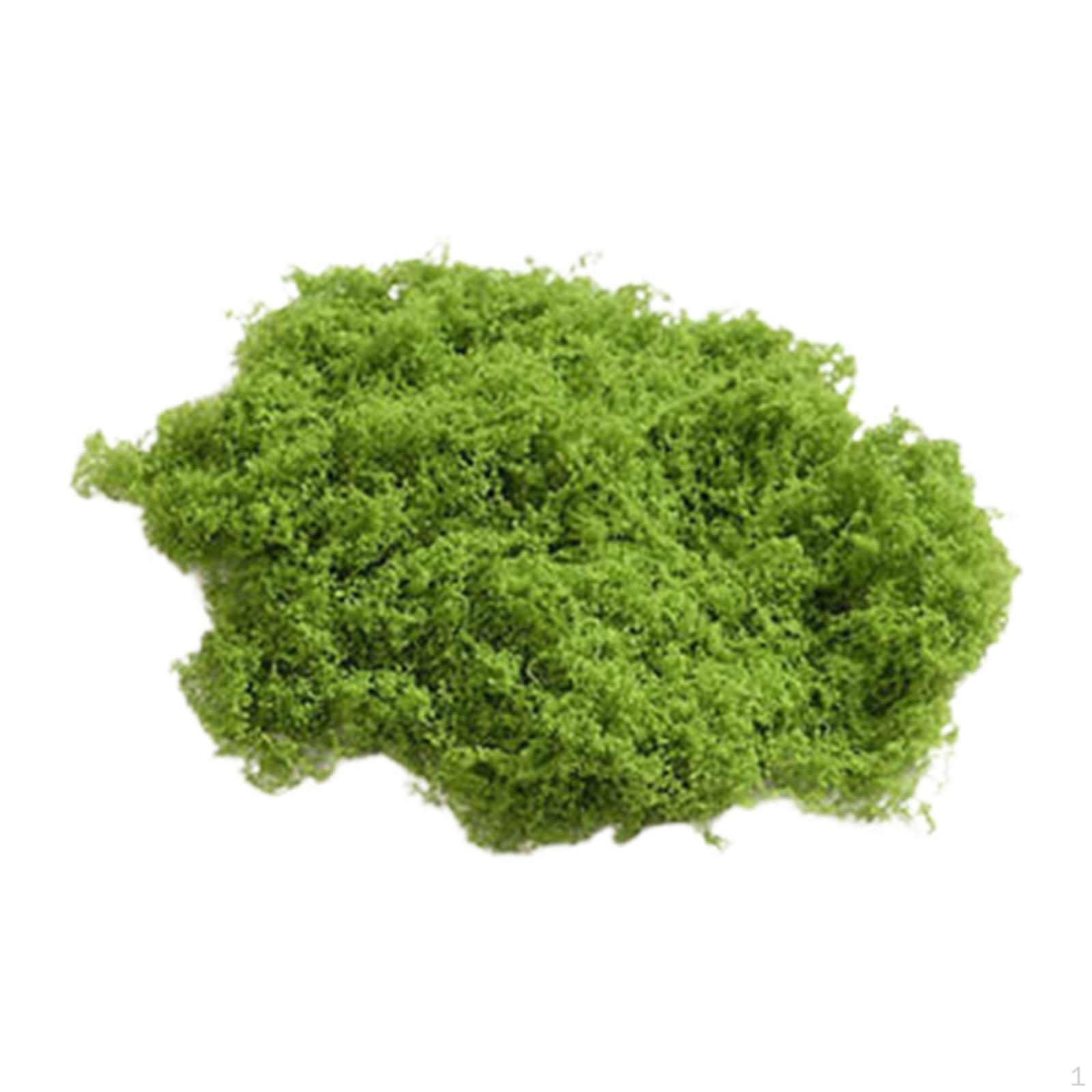 Potted Plant, Crafts, Lightweight Tank Decoration, DIY Artificial Block, Realistic Green Plants for S
Potted Plant, Crafts, Lightweight Tank Decoration, DIY Artificial Block, Realistic Green Plants for S