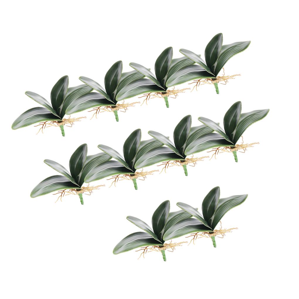 10 Pieces Artificial Plants Leaves Plastic Flowers Phalaenopsis Leaf Spring Micro Landscape For Ornaments
10 Pieces Artificial Plants Leaves Plastic Flowers Phalaenopsis Leaf Spring Micro Landscape For Ornaments