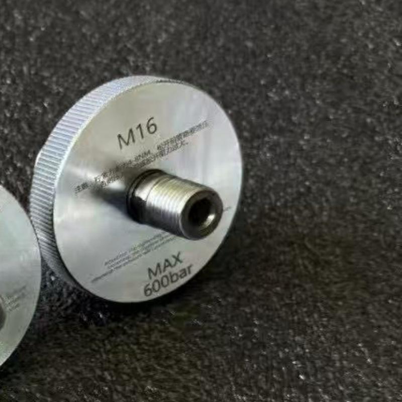 M12 M14 M16 600bar Quick Connector for S60h S80h PS400A Diesel Injector Nozzle Tester MFI CRIN EUI Adaptor M16
M12 M14 M16 600bar Quick Connector for S60h S80h PS400A Diesel Injector Nozzle Tester MFI CRIN EUI Adaptor M16