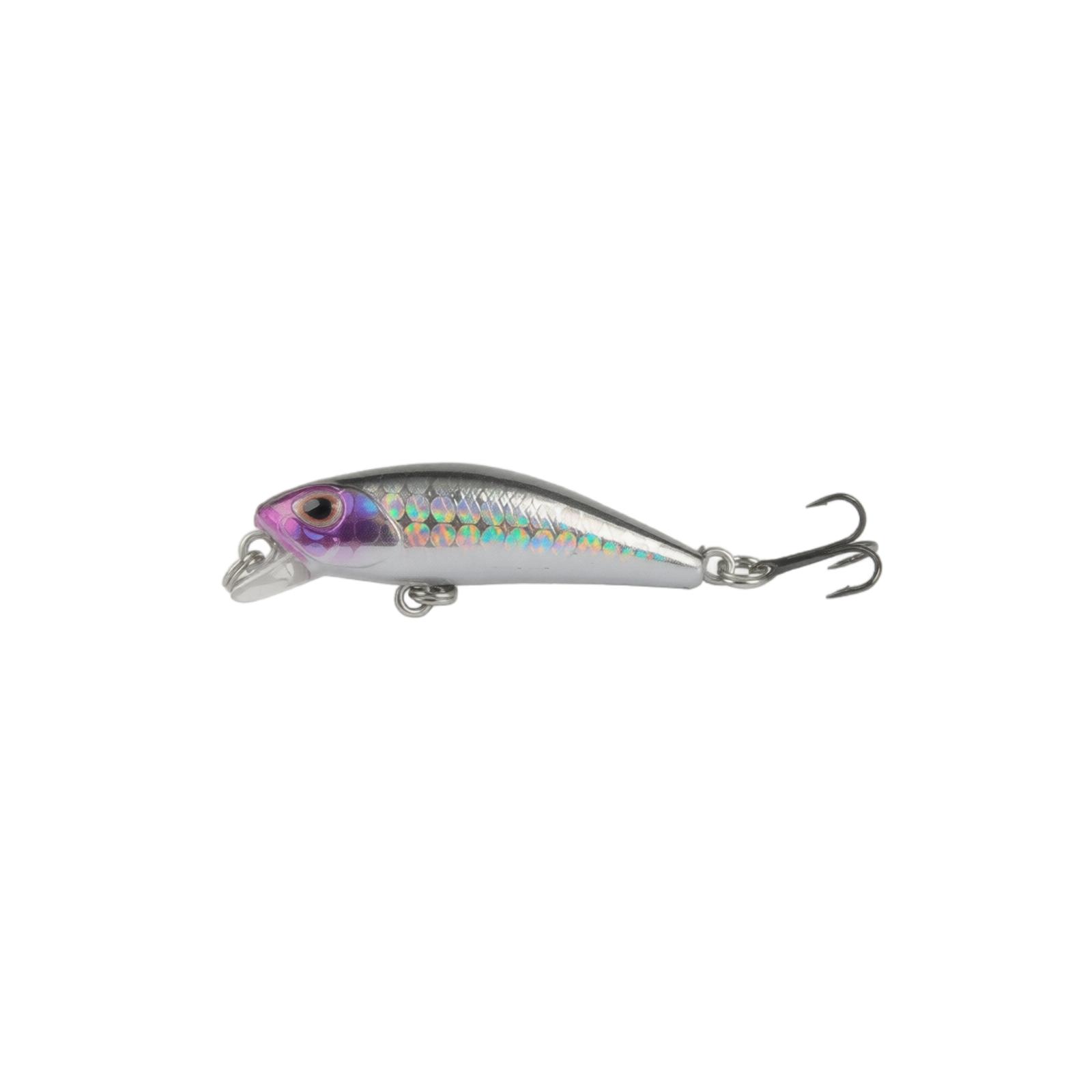 Fishing Lure Hard Bait Artificial Minnow Lure with Treble Hooks for Freshwater and Saltwater Fishing Tackle one size
Fishing Lure Hard Bait Artificial Minnow Lure with Treble Hooks for Freshwater and Saltwater Fishing Tackle one size