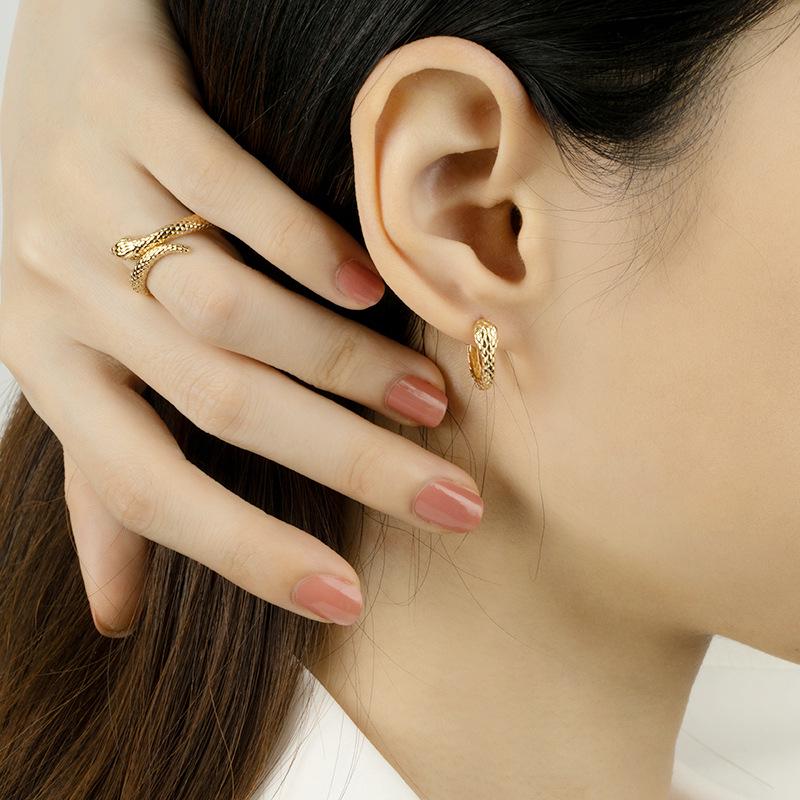 S925 Sterling Silver Snake Earrings - European & American Style, Niche Design, Fashionable & Unique for Women 925 Silver
S925 Sterling Silver Snake Earrings - European & American Style, Niche Design, Fashionable & Unique for Women 925 Silver