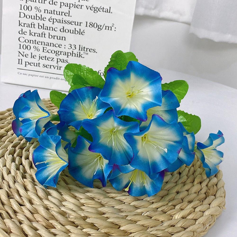 Поддельные Morning Glory Моделирование Петуния Свадебный домашний декор Искусственные цветы 35 см Лоза
Поддельные Morning Glory Моделирование Петуния Свадебный домашний декор Искусственные цветы 35 см Лоза