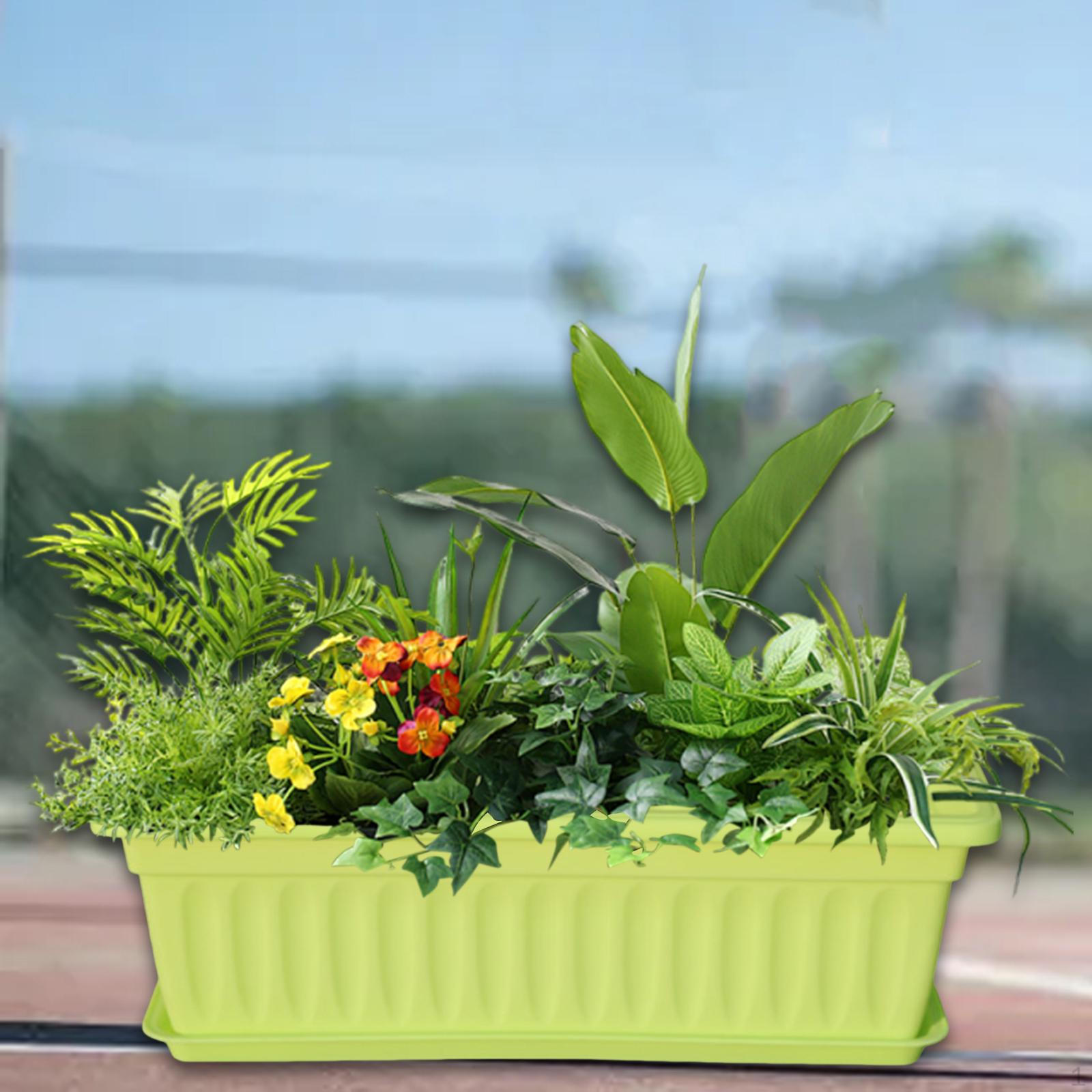 Квітковий горщик Віконний ящик Кашпо Декорація з піддонами для садівництва Розсадник Вхідна огорожа Зовні зелений
Квітковий горщик Віконний ящик Кашпо Декорація з піддонами для садівництва Розсадник Вхідна огорожа Зовні зелений