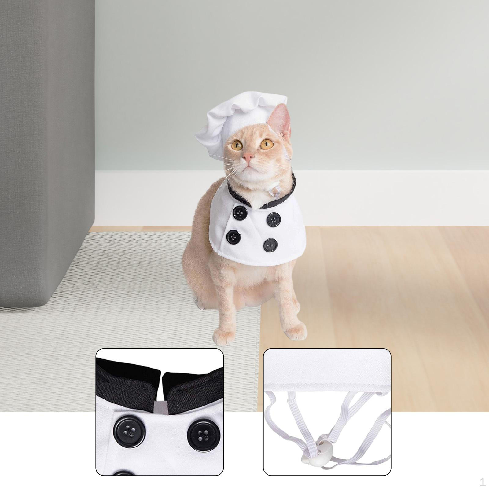 Chef Costume for Dogs, Pet Clothing, Halloween Small, Medium And L XL
Chef Costume for Dogs, Pet Clothing, Halloween Small, Medium And L XL