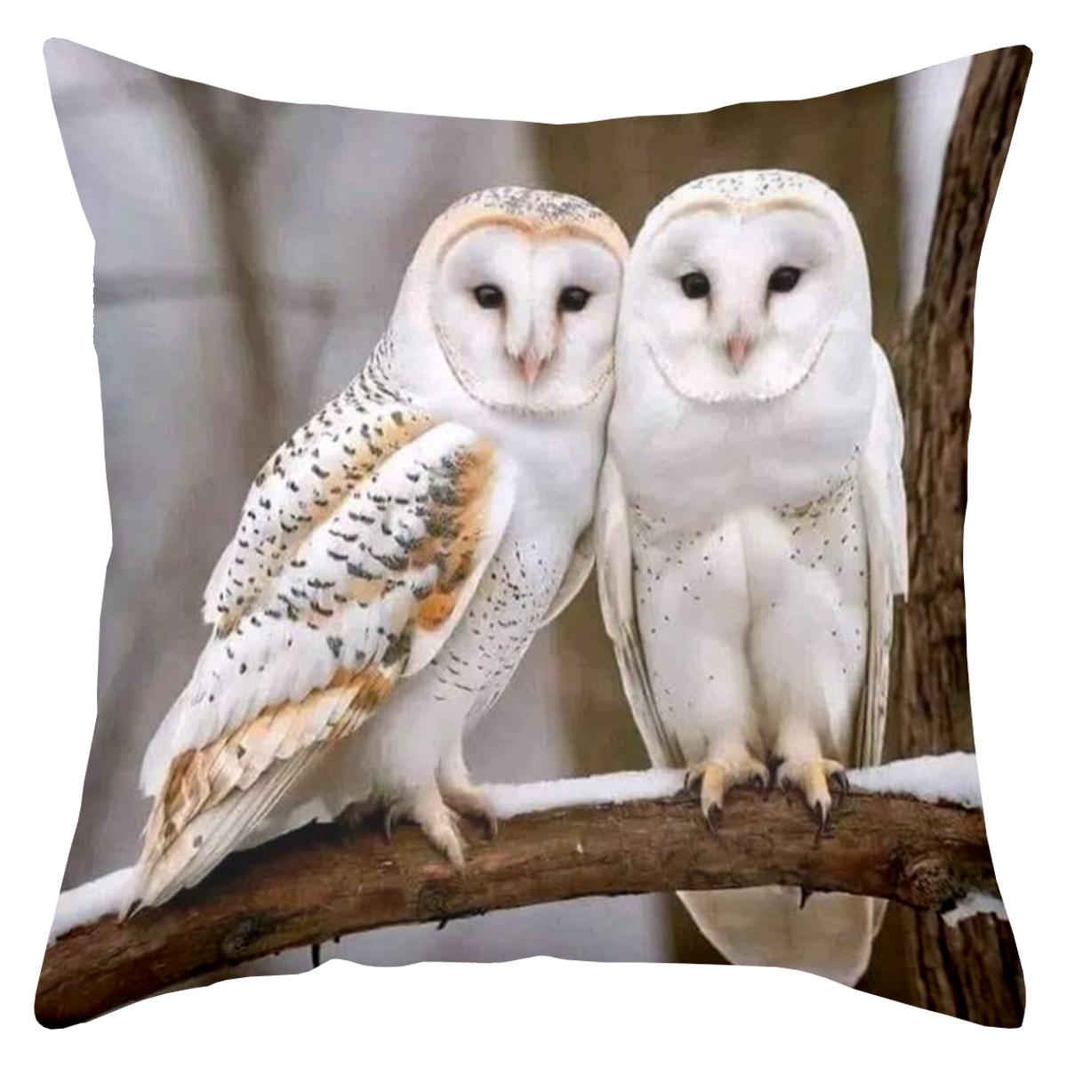 Barn Owl with Nest and Mountain Scene Decorative Throw Pillow Cover D Printed Polyester Sofa Cushion Case for Nature Home Decor 40cmx40cm
Barn Owl with Nest and Mountain Scene Decorative Throw Pillow Cover D Printed Polyester Sofa Cushion Case for Nature Home Decor 40cmx40cm