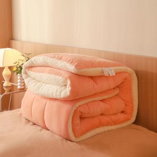 Одеяло двойного размера Twin Queen King, плюшевое бархатное стеганое зимнее толстое теплое бархатное пуховое одеяло с наполнителем 150x200cm 2.5kg
Одеяло двойного размера Twin Queen King, плюшевое бархатное стеганое зимнее толстое теплое бархатное пуховое одеяло с наполнителем 150x200cm 2.5kg