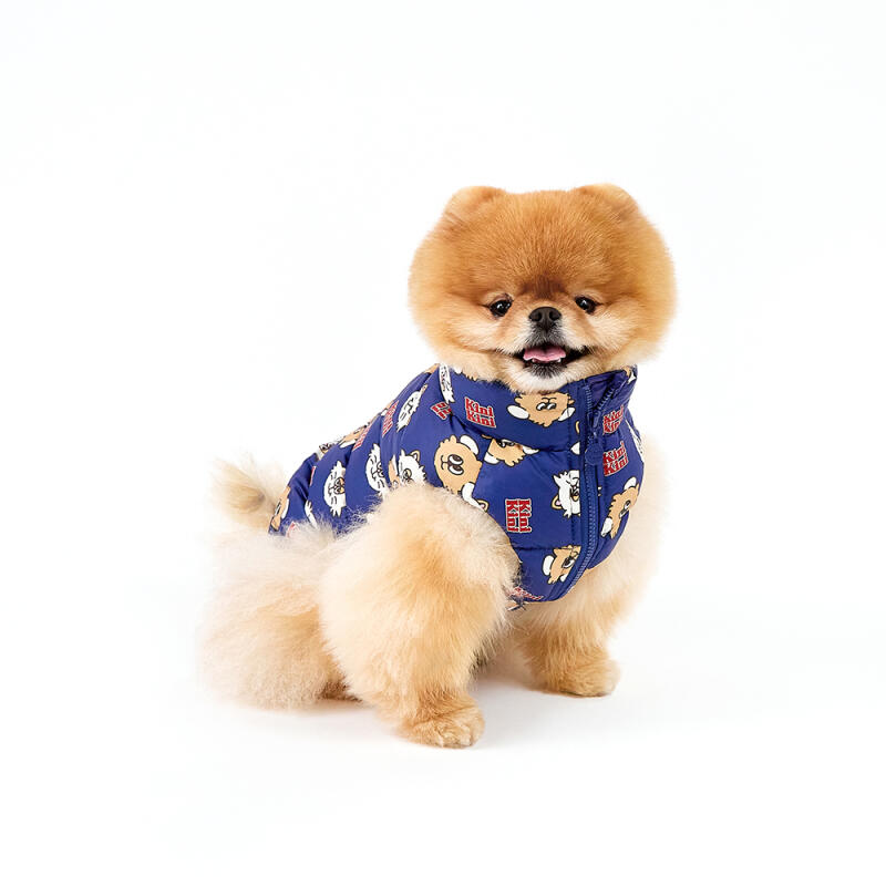 LEKI AND LENI FACE PATTERN PADDING-NAVY (Padding) XXL
LEKI AND LENI FACE PATTERN PADDING-NAVY (Padding) XXL