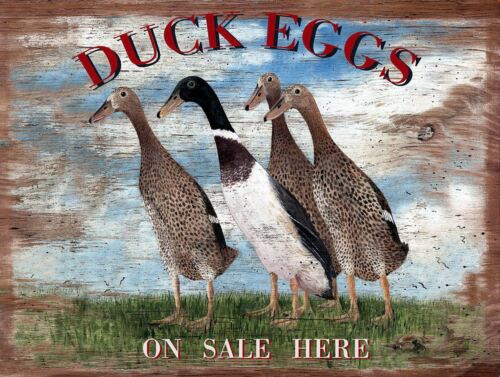 Duck Eggs Retro Metal Tin Sign Poster Plaque Garage Wall Decor AAluminum 20x30cm(7.8x11.8inch)
Duck Eggs Retro Metal Tin Sign Poster Plaque Garage Wall Decor AAluminum 20x30cm(7.8x11.8inch)