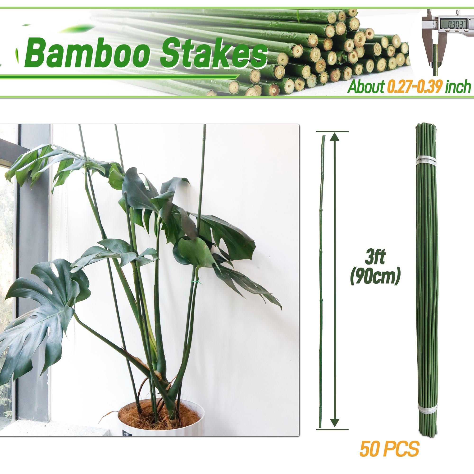 50pcs 3FT Bamboo Plant Stakes,Grden Plant Stakes For Indoor And Outdoor Climbing Plants United States
50pcs 3FT Bamboo Plant Stakes,Grden Plant Stakes For Indoor And Outdoor Climbing Plants United States