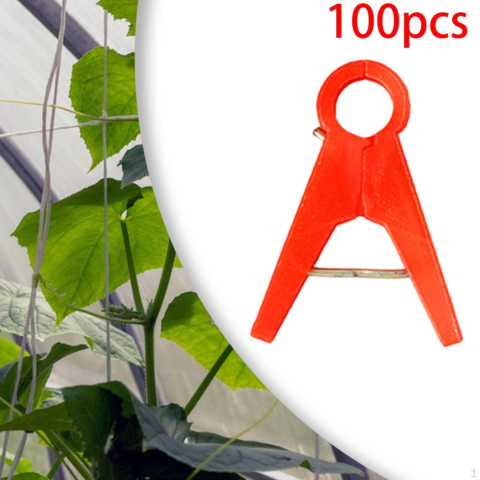 100 шт. зажимы для поддержки садовых растений, зажимы для прививки цветов, цветы и лозы для красный
100 шт. зажимы для поддержки садовых растений, зажимы для прививки цветов, цветы и лозы для красный