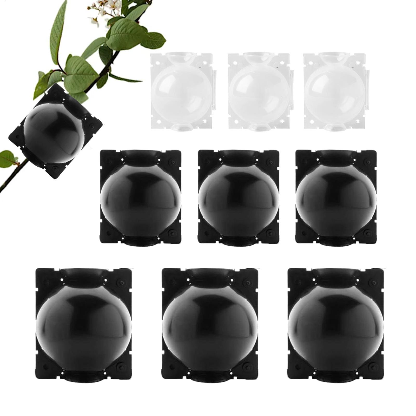 Air Layering Propagation Kit Reusable Half Transparent Grafting Ball Propagation Pod 9 Pieces for Viewer Observation Sprouting China Mainland
Air Layering Propagation Kit Reusable Half Transparent Grafting Ball Propagation Pod 9 Pieces for Viewer Observation Sprouting China Mainland