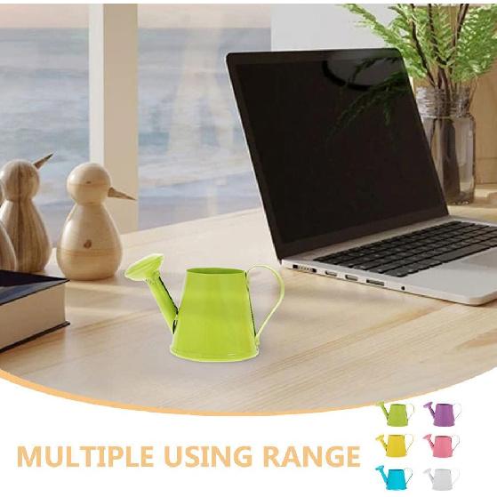 BESPORTBLE 12pcs Mini Iron Watering Cans: Small Metal Watering Pots for Indoor Plants, Dollhouse, Kids Gardening, Photo Props - Home Decoration
BESPORTBLE 12pcs Mini Iron Watering Cans: Small Metal Watering Pots for Indoor Plants, Dollhouse, Kids Gardening, Photo Props - Home Decoration