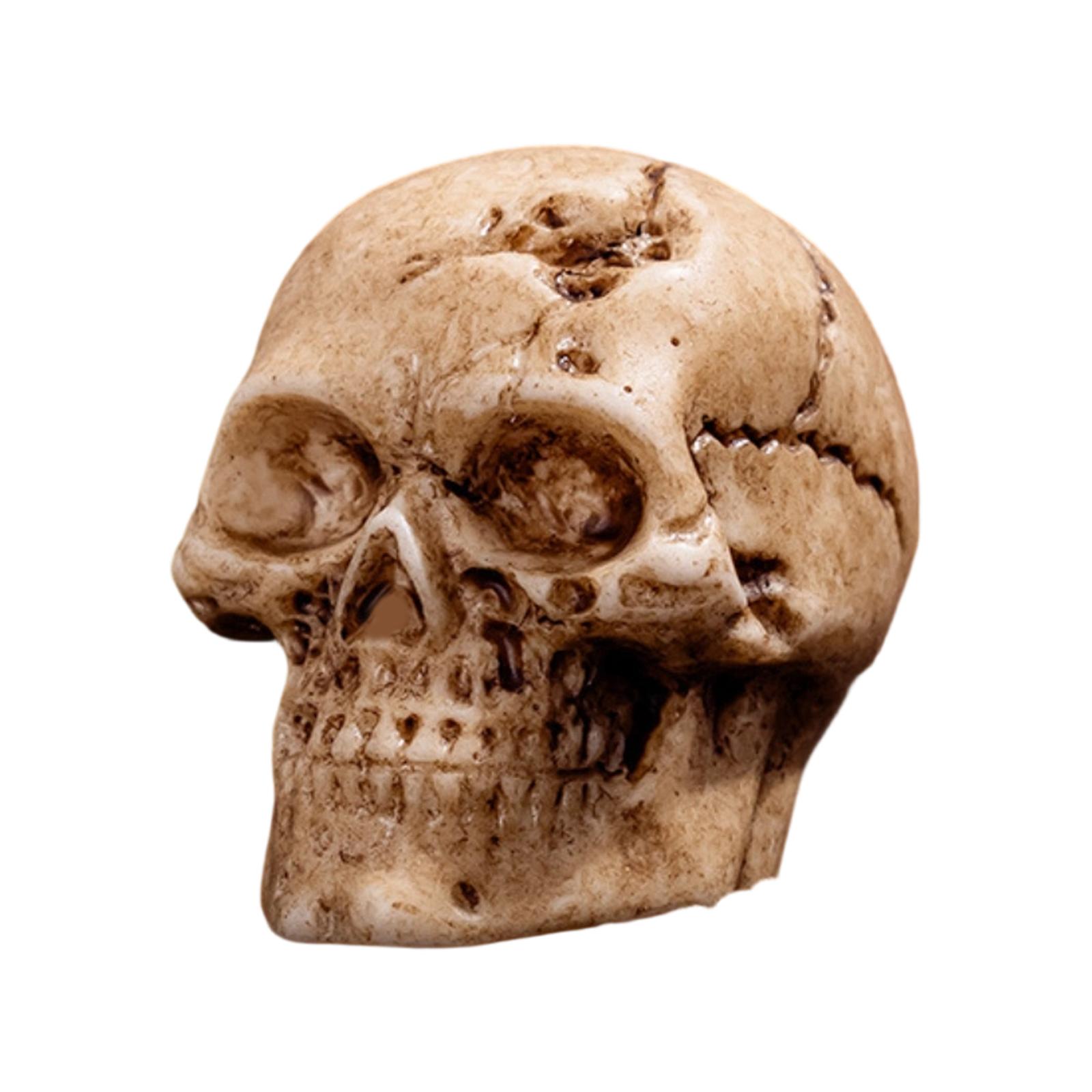 Хэллоуин Ужасы Симуляция Сделай сам Смола Ремесло Декоративные Аксессуары Ручной работы Маленькие Украшения One Size
Хэллоуин Ужасы Симуляция Сделай сам Смола Ремесло Декоративные Аксессуары Ручной работы Маленькие Украшения One Size