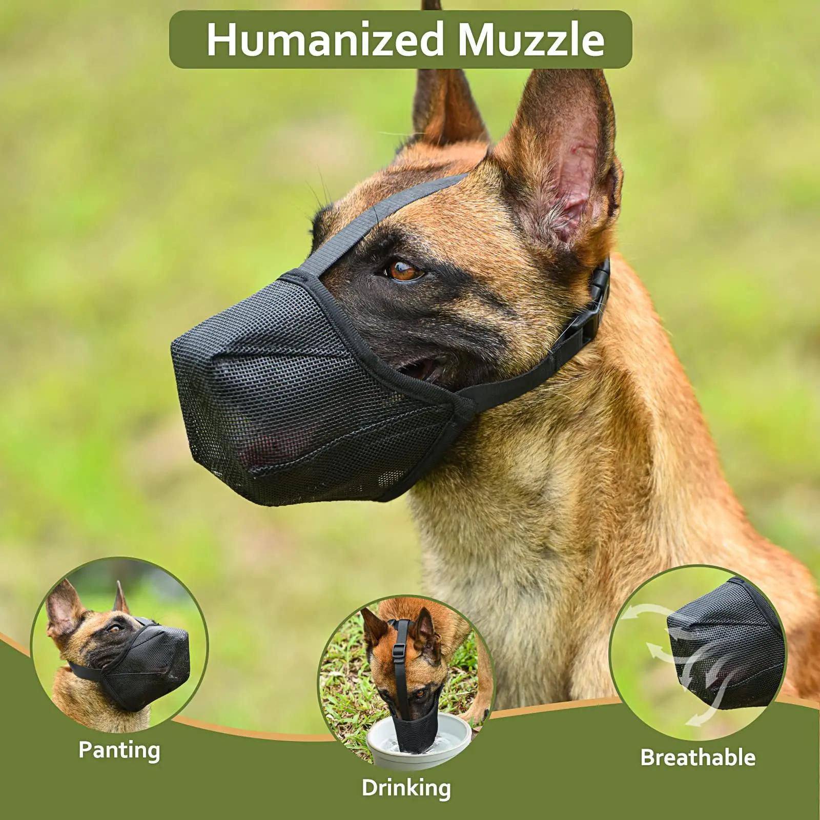 Adjustable Breathable Dog Muzzle Anti Barking Biting Mesh Pet Mouth Cover for Small Medium Large Dogs XS
Adjustable Breathable Dog Muzzle Anti Barking Biting Mesh Pet Mouth Cover for Small Medium Large Dogs XS