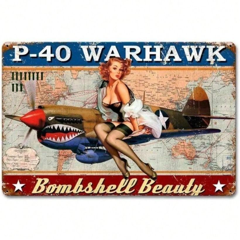 P-40 Warhawk Самолет ВВС США Металлическая Пластина Винтажное Искусство Самолетов для Декора Стен
P-40 Warhawk Самолет ВВС США Металлическая Пластина Винтажное Искусство Самолетов для Декора Стен
