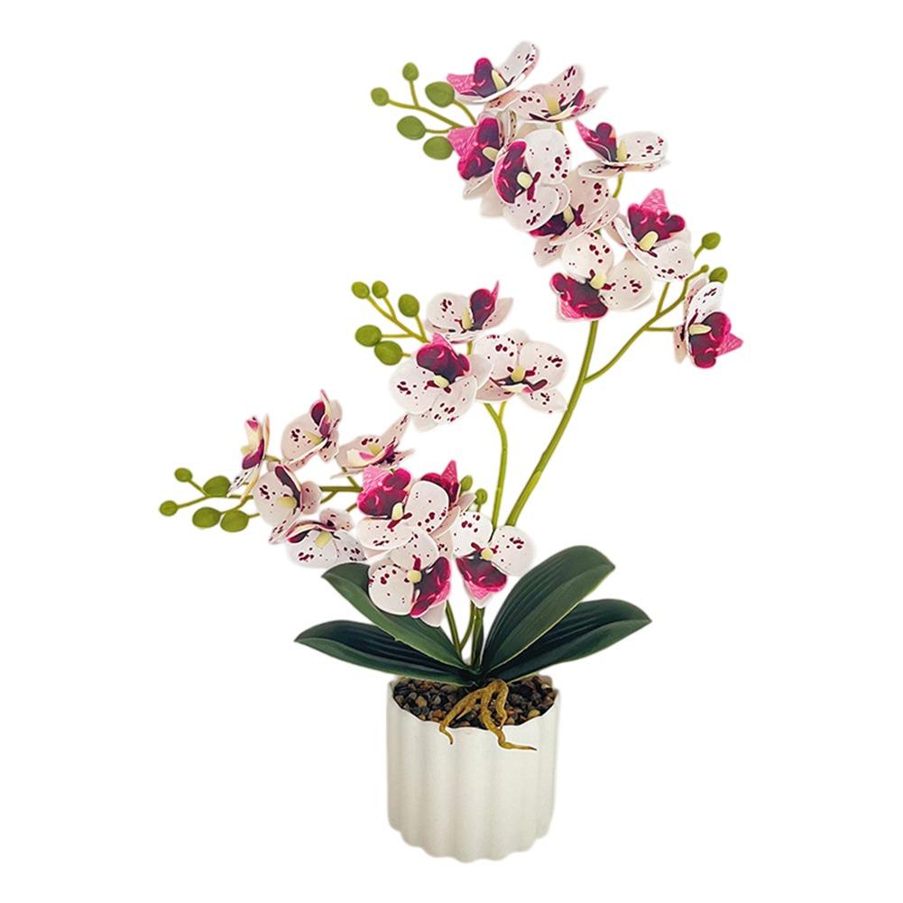 Home Decor Office Decor Artificial Orchid Artificial Orchid Decoration Phalaenopsis Plant Realistic Appearance
Home Decor Office Decor Artificial Orchid Artificial Orchid Decoration Phalaenopsis Plant Realistic Appearance