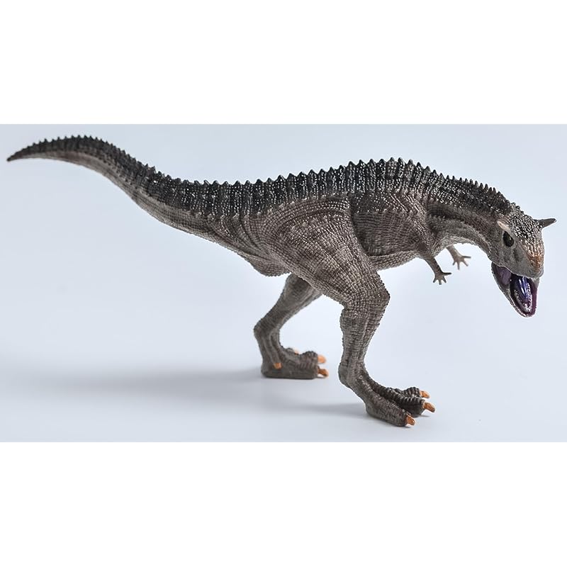 SanDoll Dinosaur figure real model Jurassic 30cm class reptiles force carnivorous kids toys present display Comes with safe return guarantee
SanDoll Dinosaur figure real model Jurassic 30cm class reptiles force carnivorous kids toys present display Comes with safe return guarantee